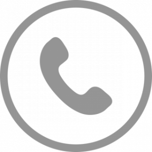 Icon Phone 2